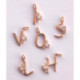 Letter Pendant with Breastmilk Heart DIY Kit, 925 Silver, rose gold plated